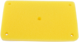 10110979_0.png