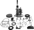 11030055_0.png