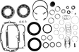 11040025_0.png