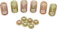 11310077_0.png