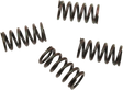 11310635_0.png