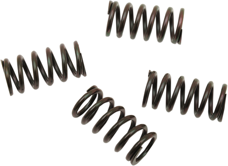 11310635_0.png