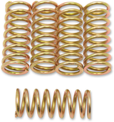 11310648_0.png