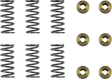 11312296_0.png