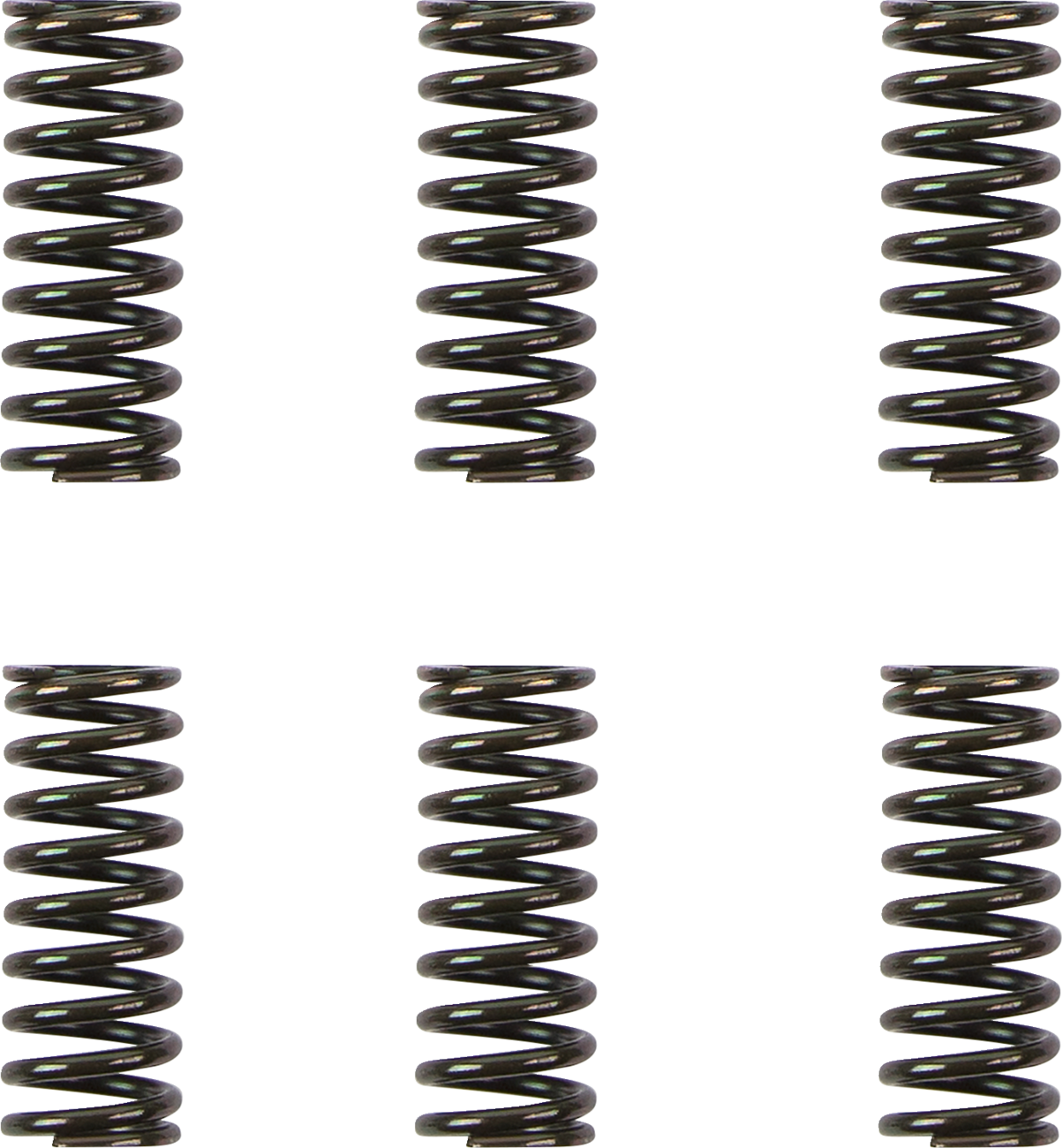 11312297_0.png