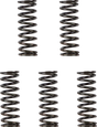 11312299_0.png