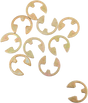 11320270_0.png