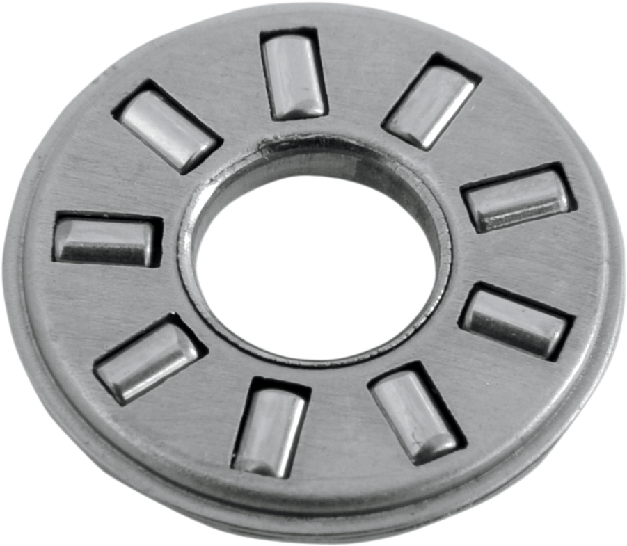 11320568_0.png