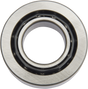 11320919_0.png