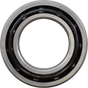 11321628_0.png