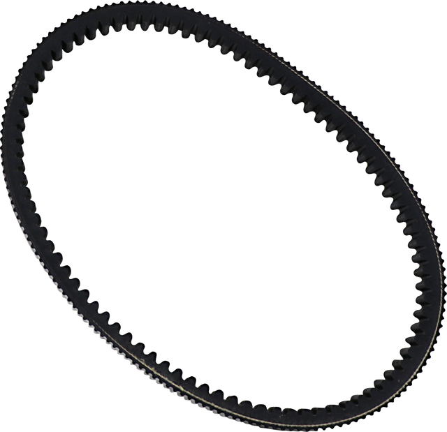 11420863_0.png
