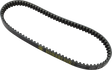 12040018_0.png