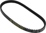 12040089_0.png
