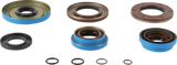 12050446_1.png