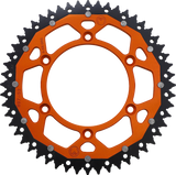 12101528_0.png