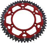 12102646_0.png