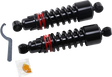13101972_0.png