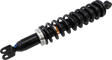 13102093_0.png
