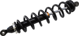 13102119_0.png
