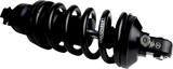 13102250_0.png