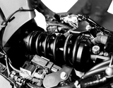 13102250_3.png