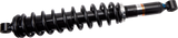 13102329_0.png