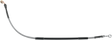 17410988_0.png