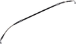 17416448_0.png