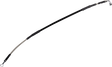 17416450_0.png