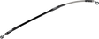 17416479_0.png
