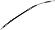 17416496_0.png