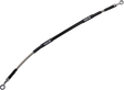 17416524_0.png