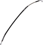 17416555_0.png