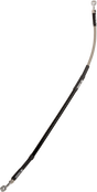 17416810_0.png