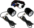20012205_0.png