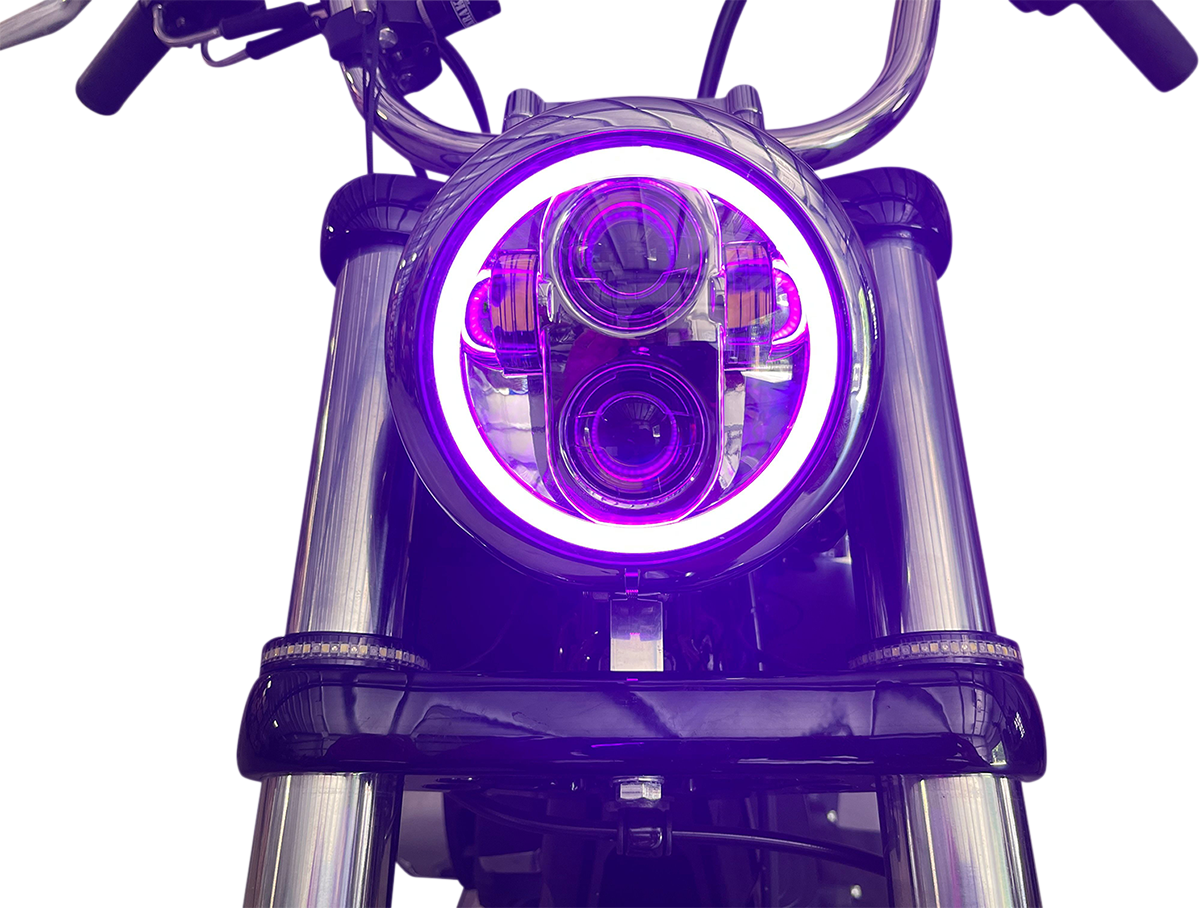 20012481_1.png