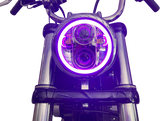 20012481_1.png