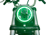 20012481_2.png