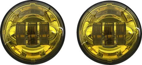 20012685_0.png