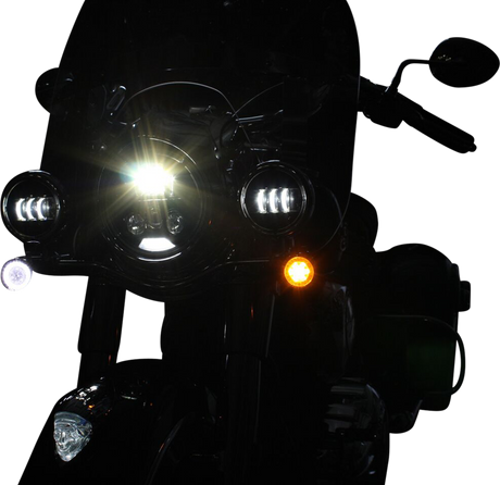 20201741_1.png