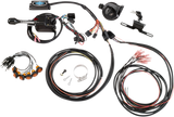 20201752_0.png