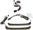 20402686_0.png