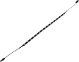 20402753_0.png