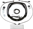 20402763_0.png