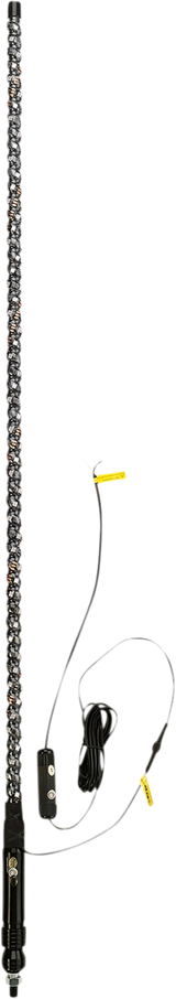 20402806_1.png