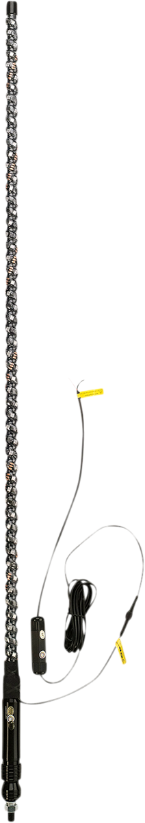 20402806_1.png