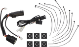 20402882_1.png