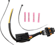 20403011_0.png
