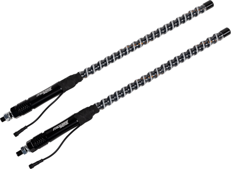 20403161_0.png