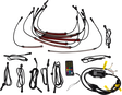 20403246_0.png